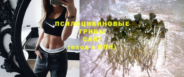 гашик Балабаново