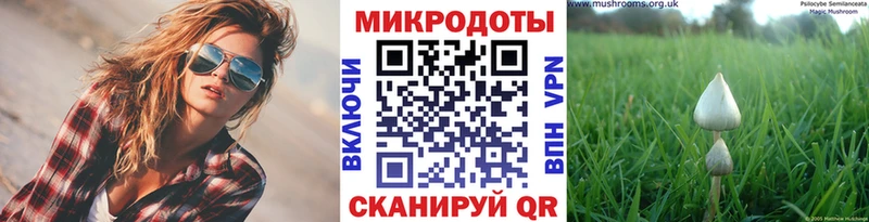 Псилоцибиновые грибы прущие грибы  закладка  Туран 